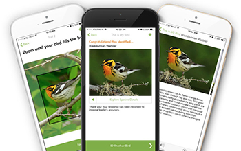 The NSF-funded Merlin Bird ID app identifies bird species based on descriptions or photos.